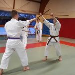 stage-kobudo1-fevrier-2018